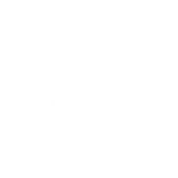 Fine robusta - Honey Smooth