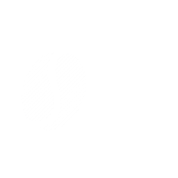 Premium Arabica S16+ Washed