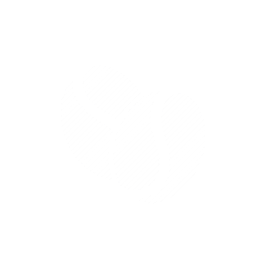 Premium Robusta S18 Clean