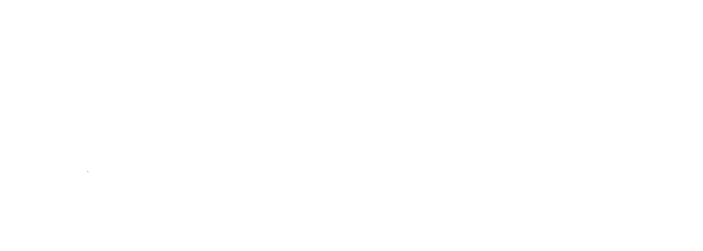 Phin Mi logo